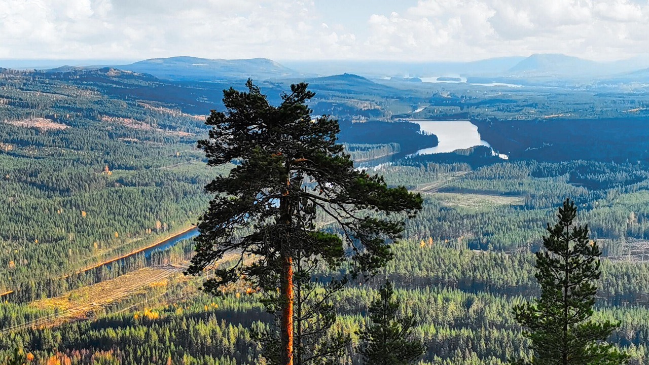 Photo of Others in Alvdalen