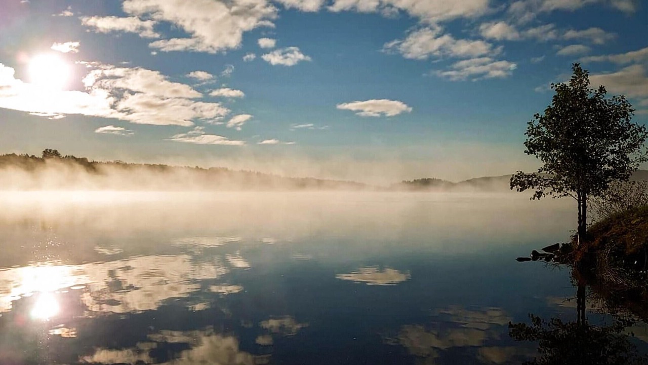 Photo of Others in Fengersfors