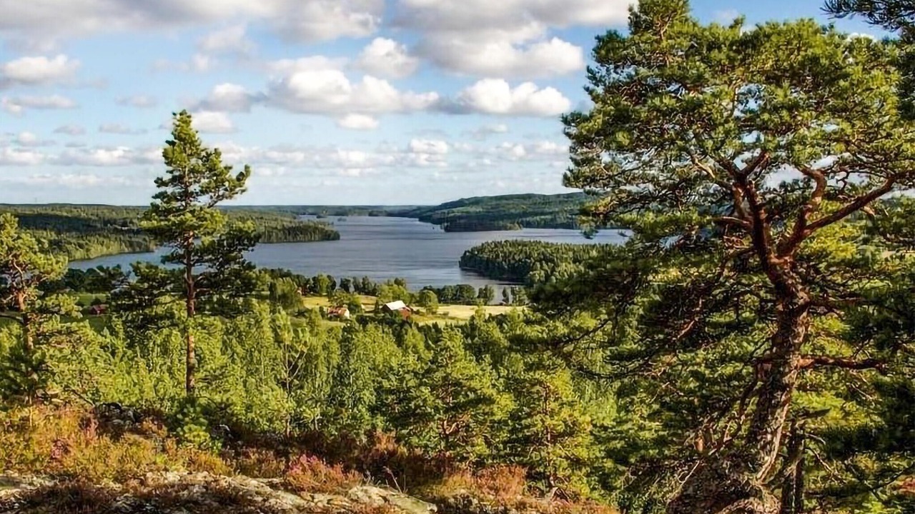 Photo of Others in Fengersfors