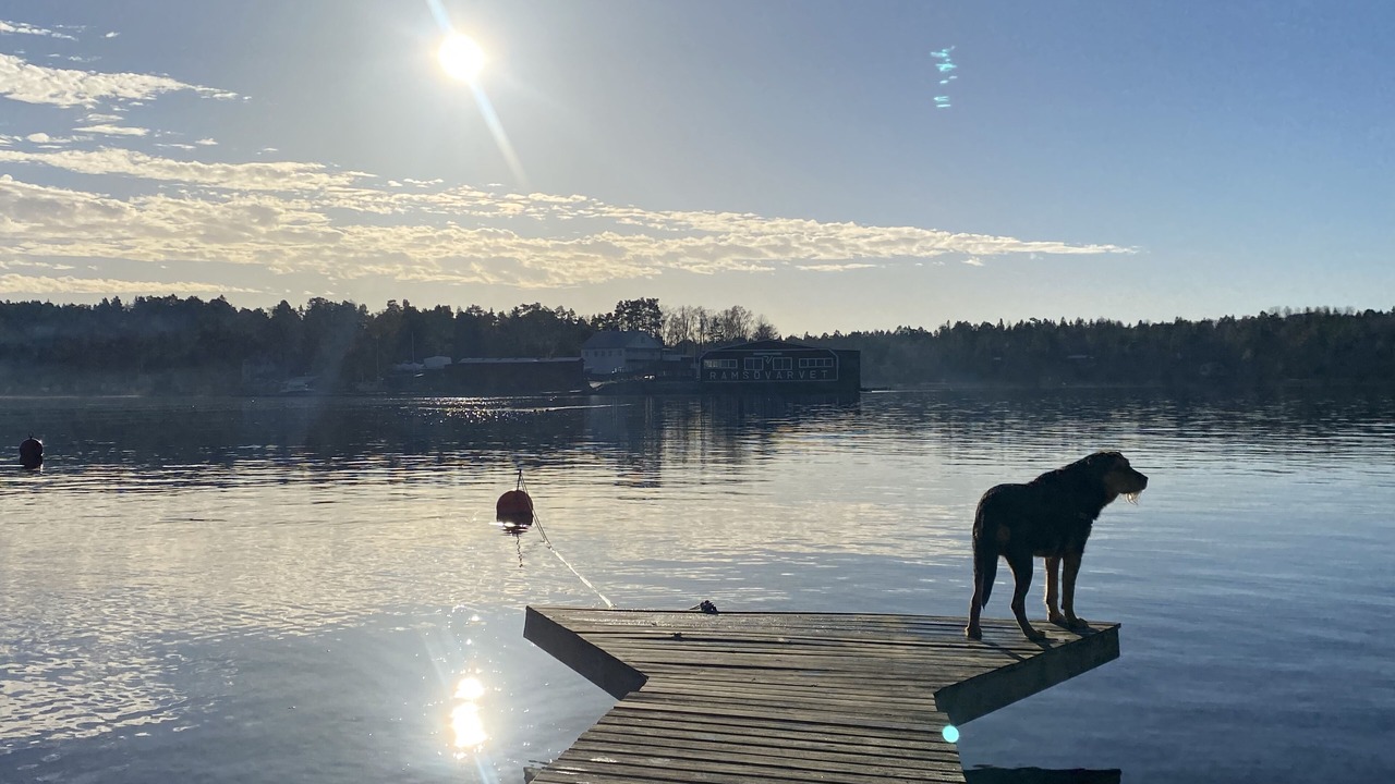 Photo of Outdoor in Vaxholm