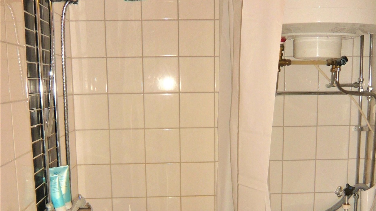 Photo of Bathroom in Monsteras