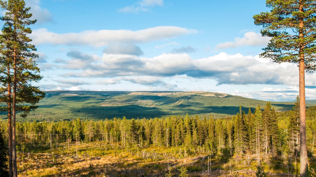Photo of Others in Trysil