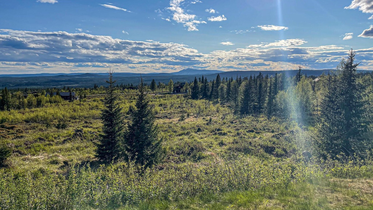 Photo of Bedroom in Trysil