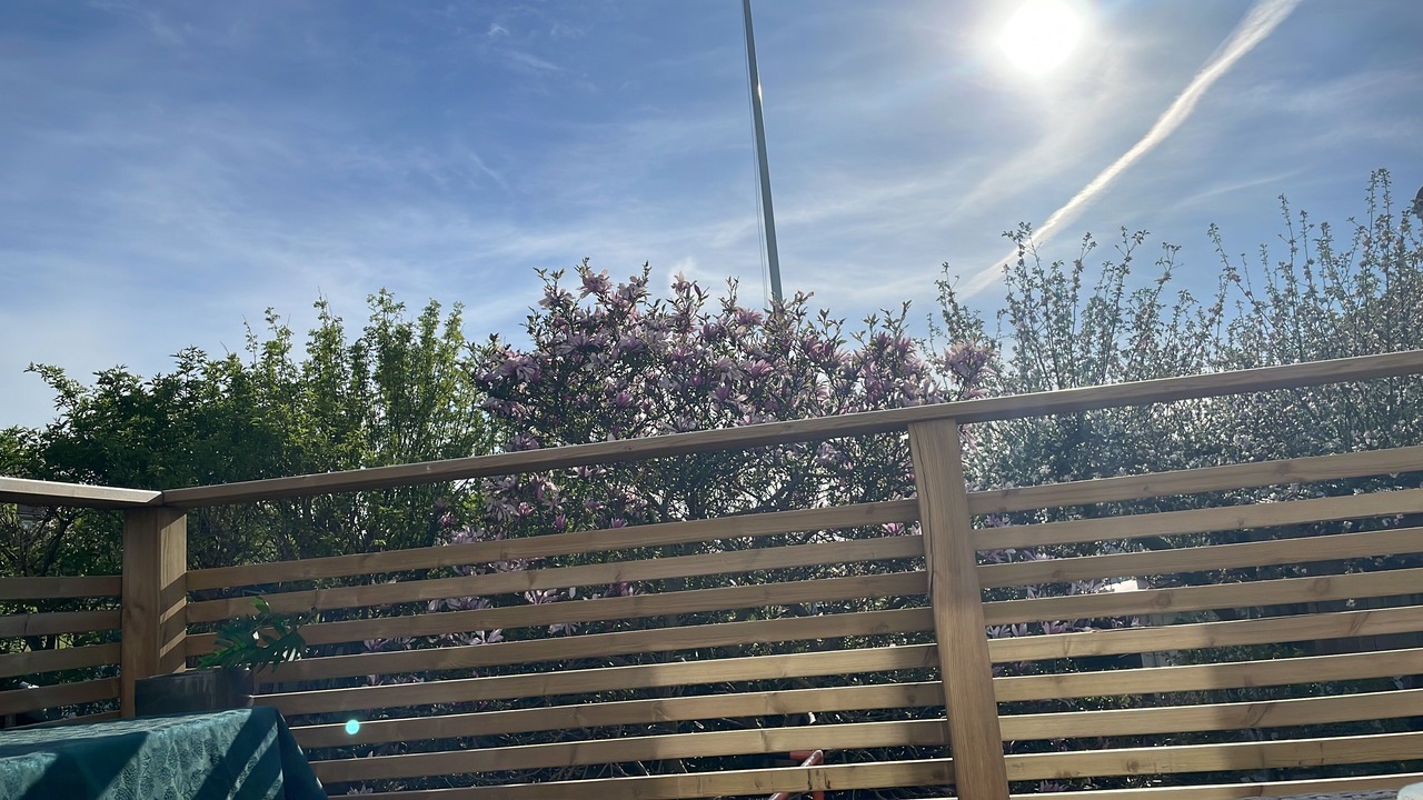 Photo of Outdoor in Savedalen