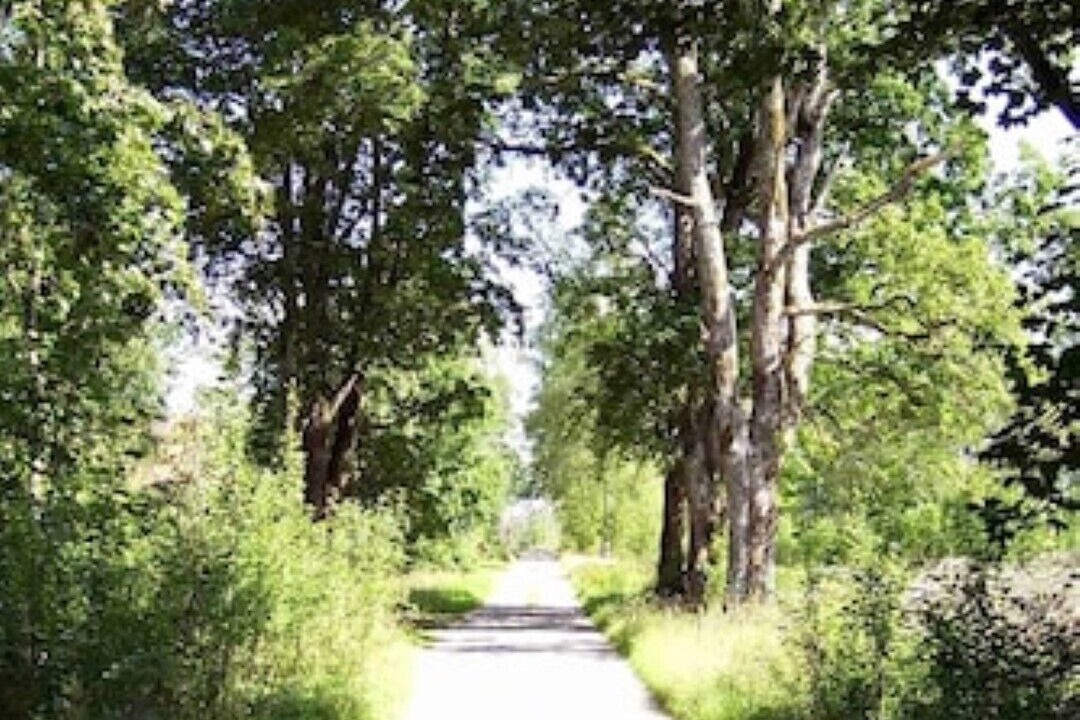 Photo of Outdoor in Traryd