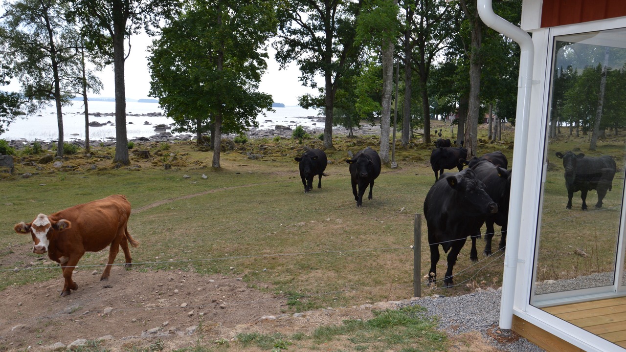 Photo of Outdoor in Vrigstad