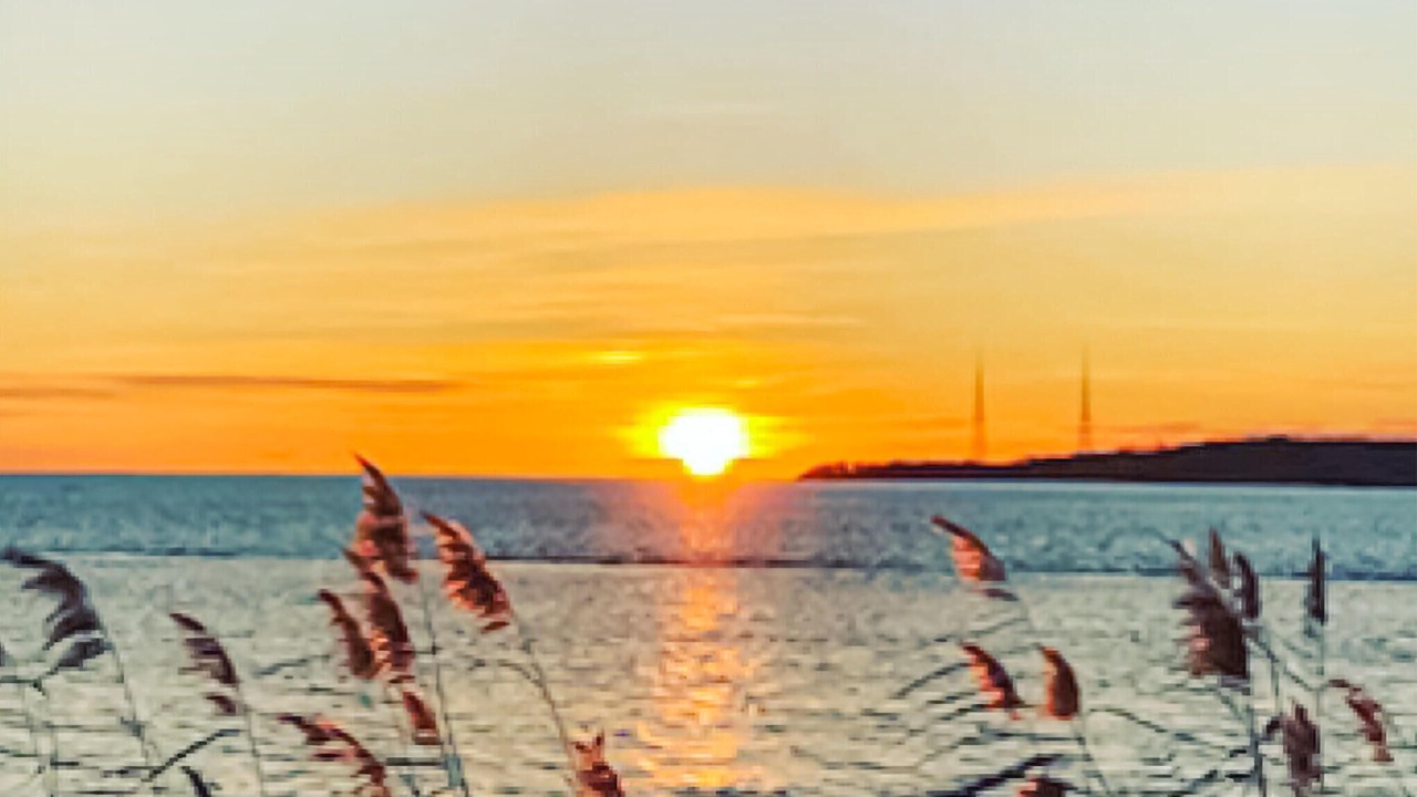 Photo of Others in Solvesborg Municipality