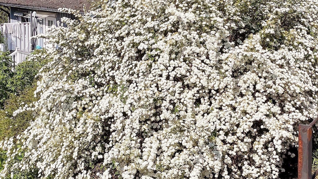 Photo of Outdoor in Skalsmara