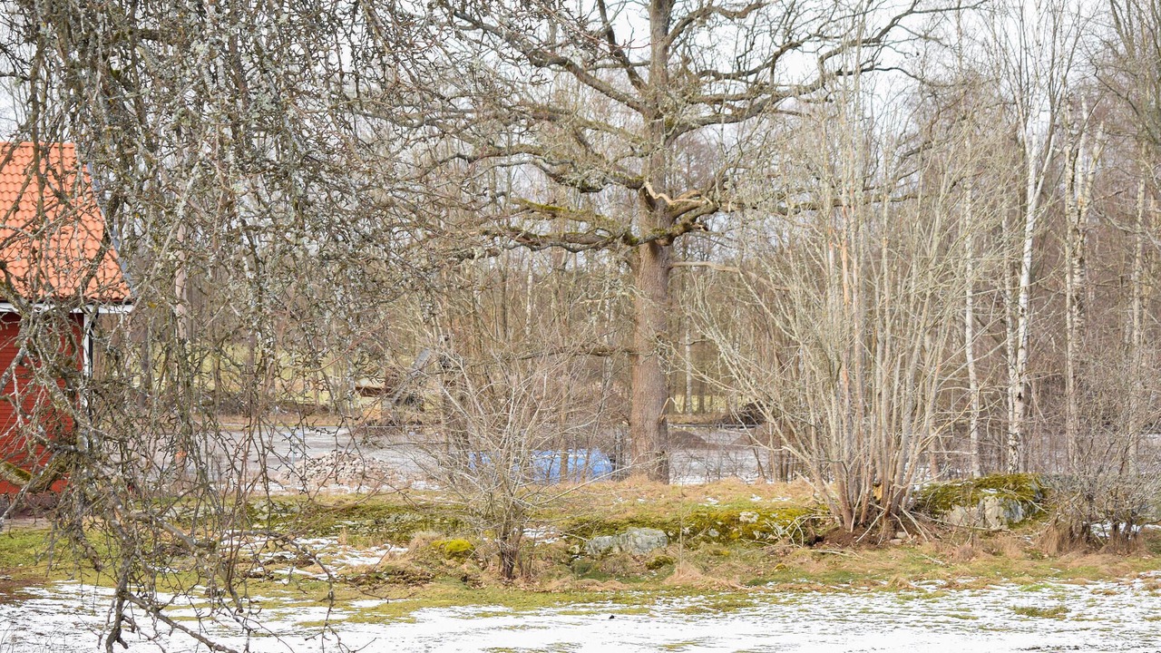 Photo of Others in Orrefors