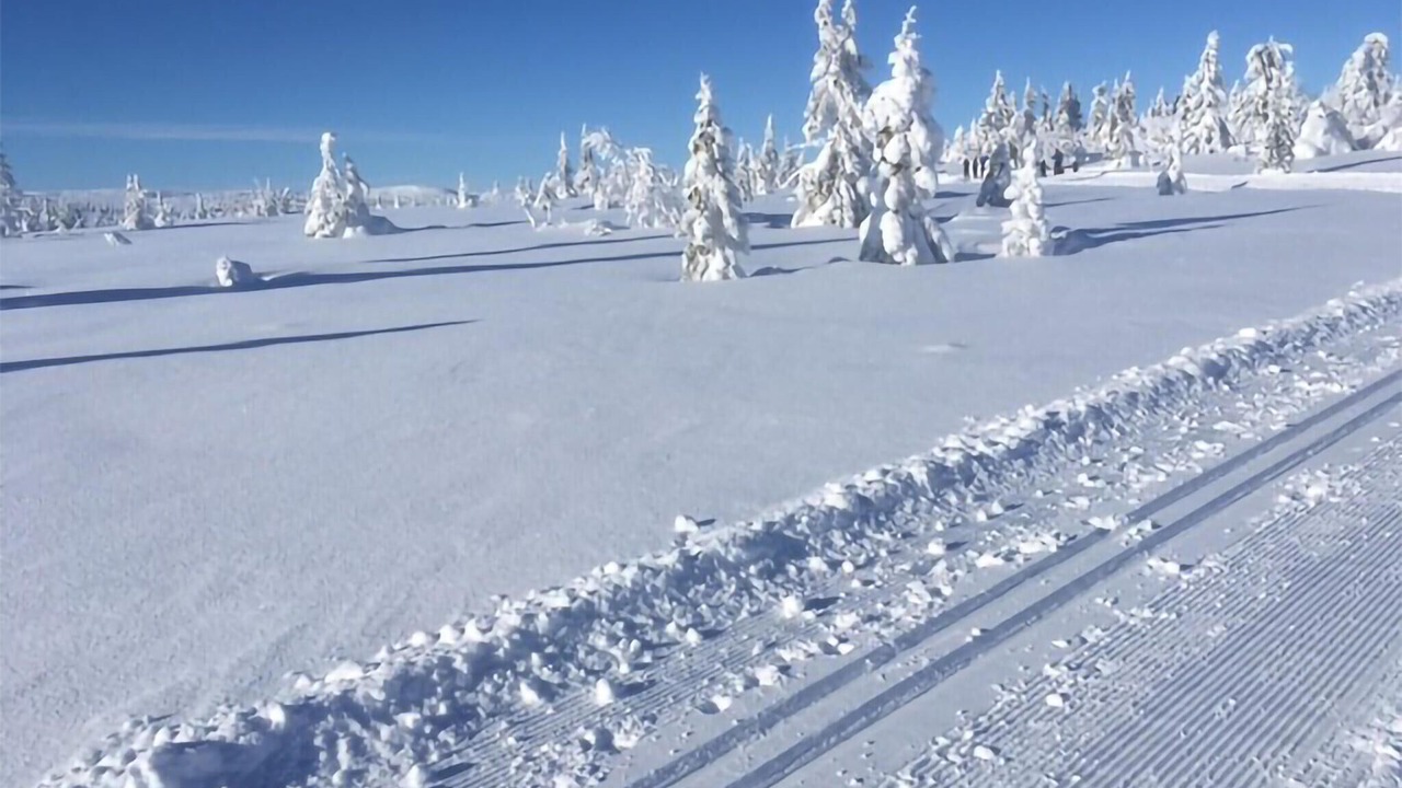 Photo of Others in Lillehammer