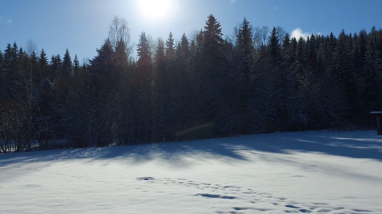 Photo of Others in Torsby O