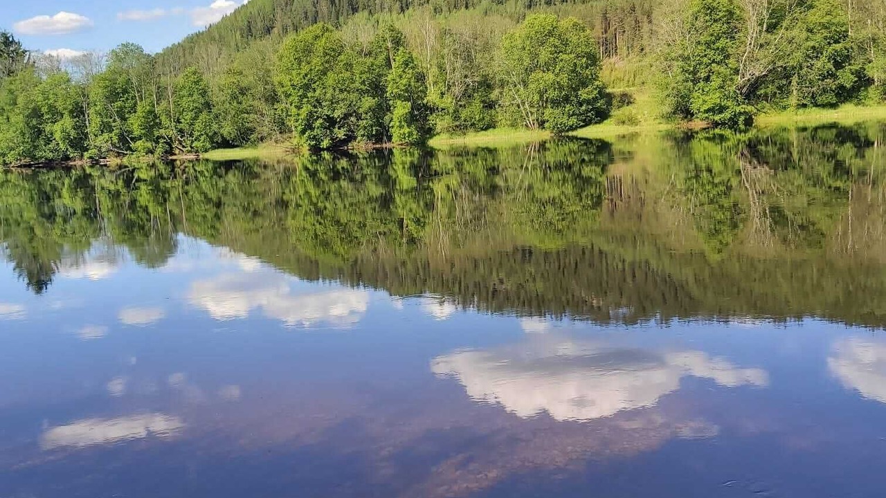 Photo of Others in Torsby O