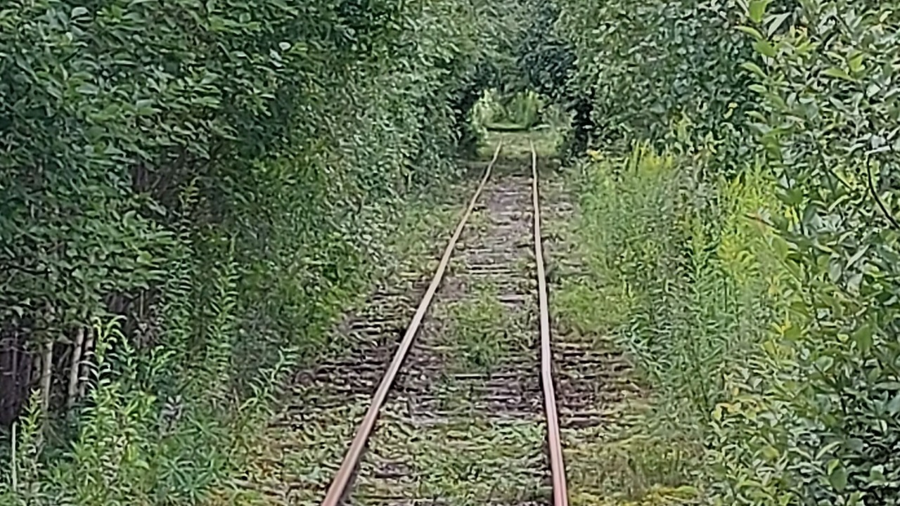 Photo of Outdoor in Torsby O