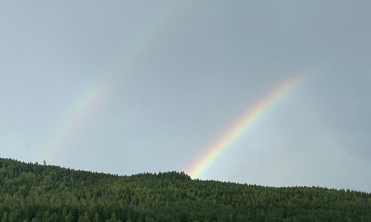 Photo of Outdoor in Torsby O