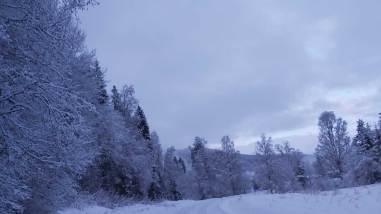 Photo of Others in Torsby O