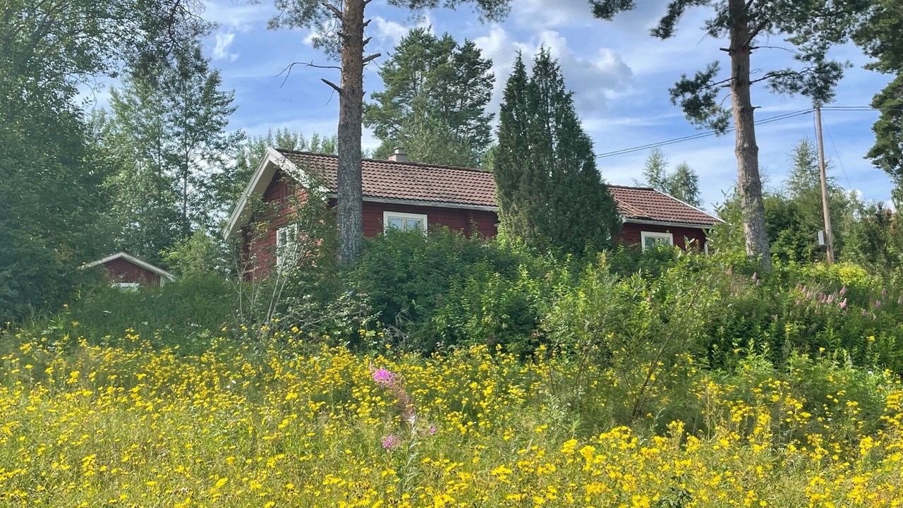 Photo of Outdoor in Jarvso