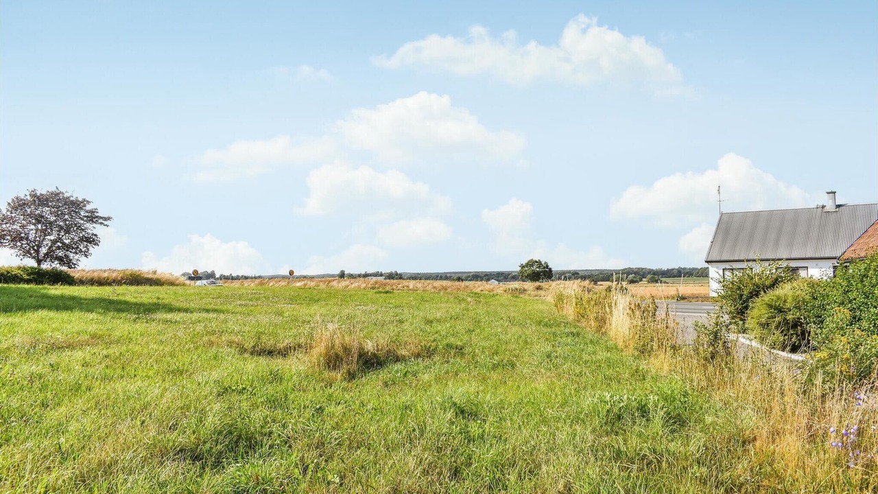 Photo of Others in Listarum
