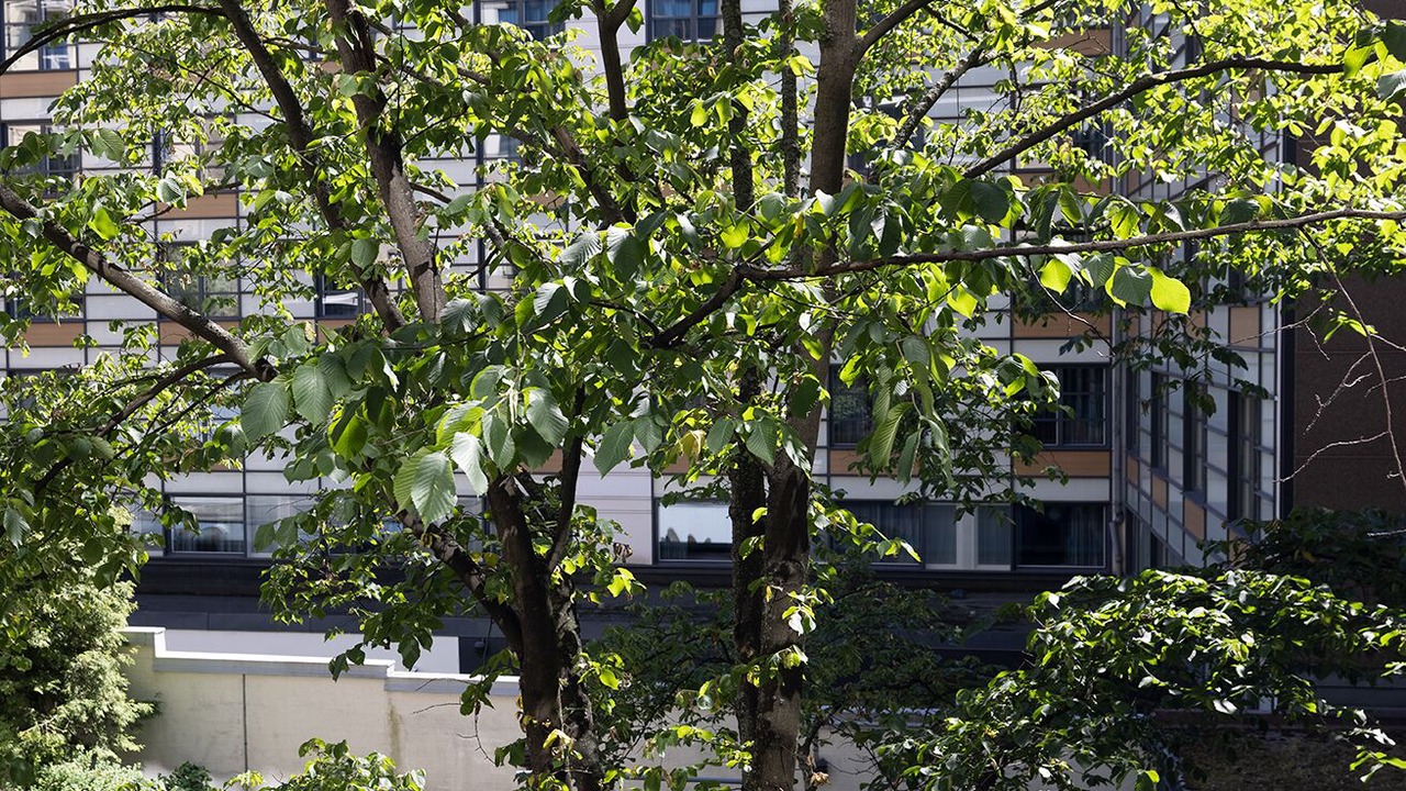 Photo of Outdoor in Kluuvi