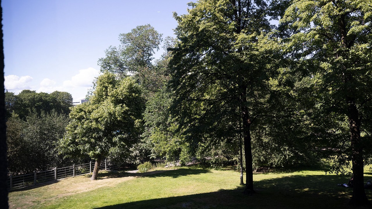Photo of Outdoor in Kluuvi
