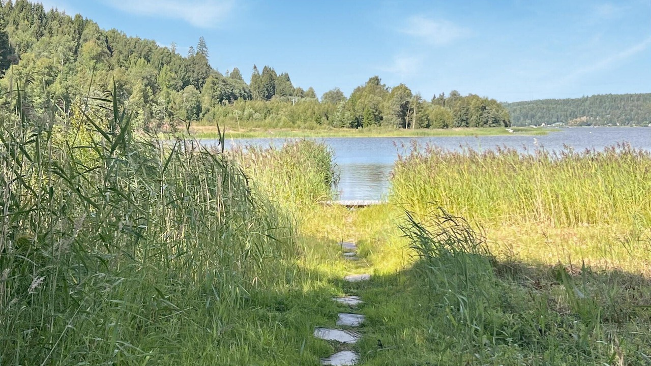 Photo of Others in Domsjo