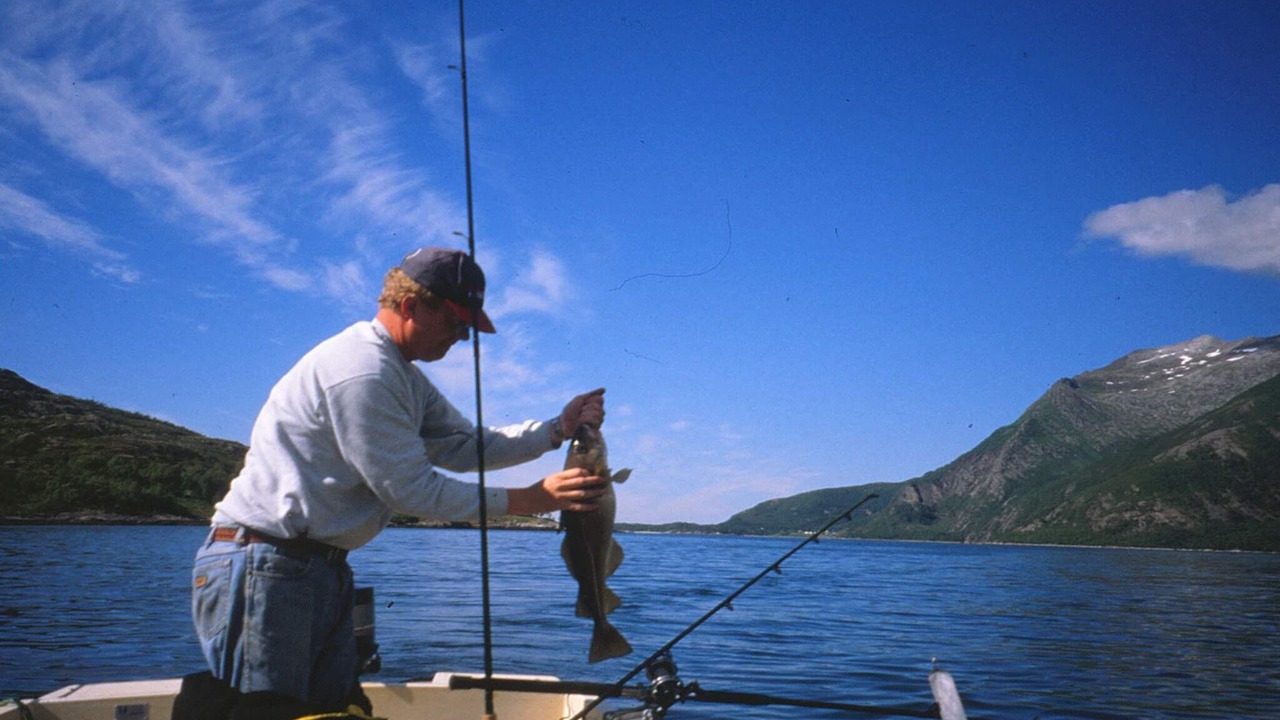 Photo of Others in Leksvik