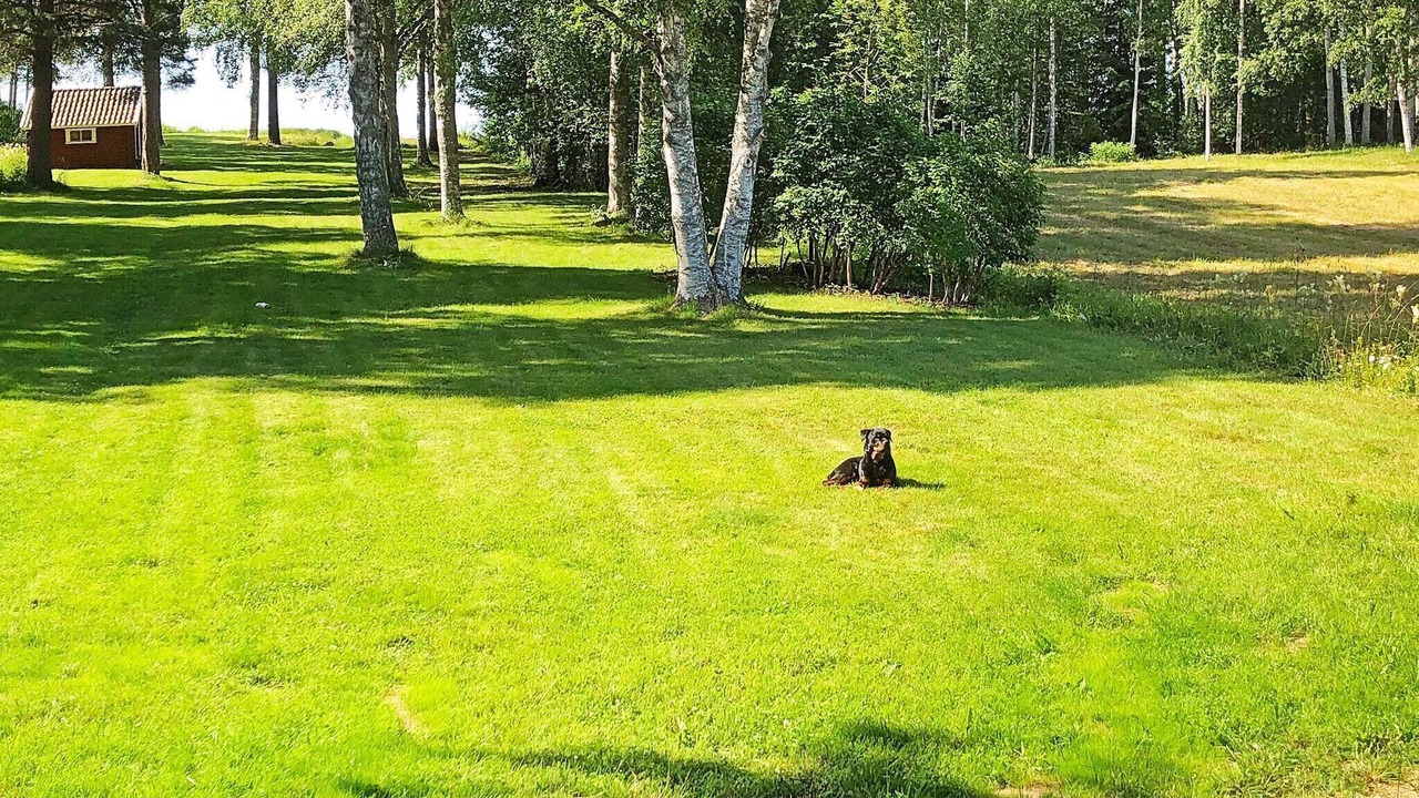 Photo of Outdoor in Rattvik
