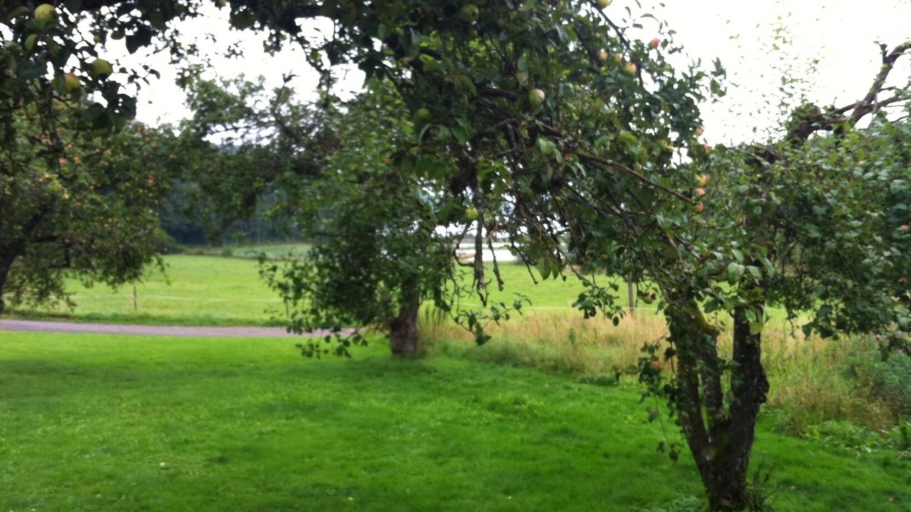 Photo of Outdoor in Veddige