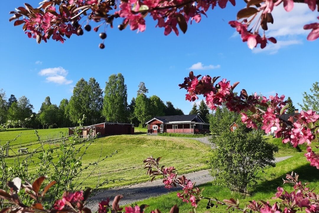 Photo of Outdoor in Gunnarskog