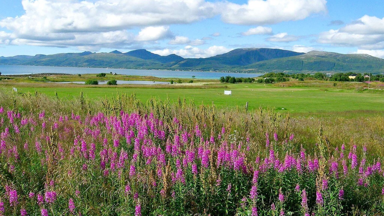 Photo of Outdoor in Sortland