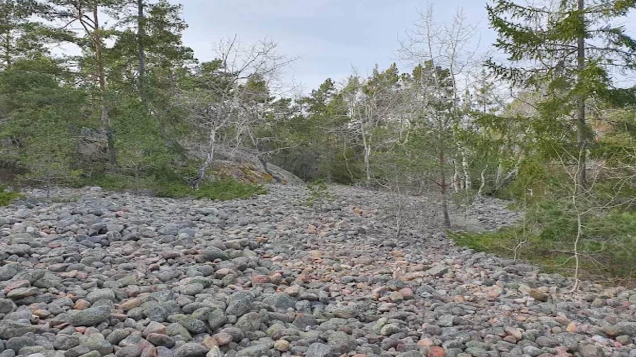 Photo of Others in Grisslehamn