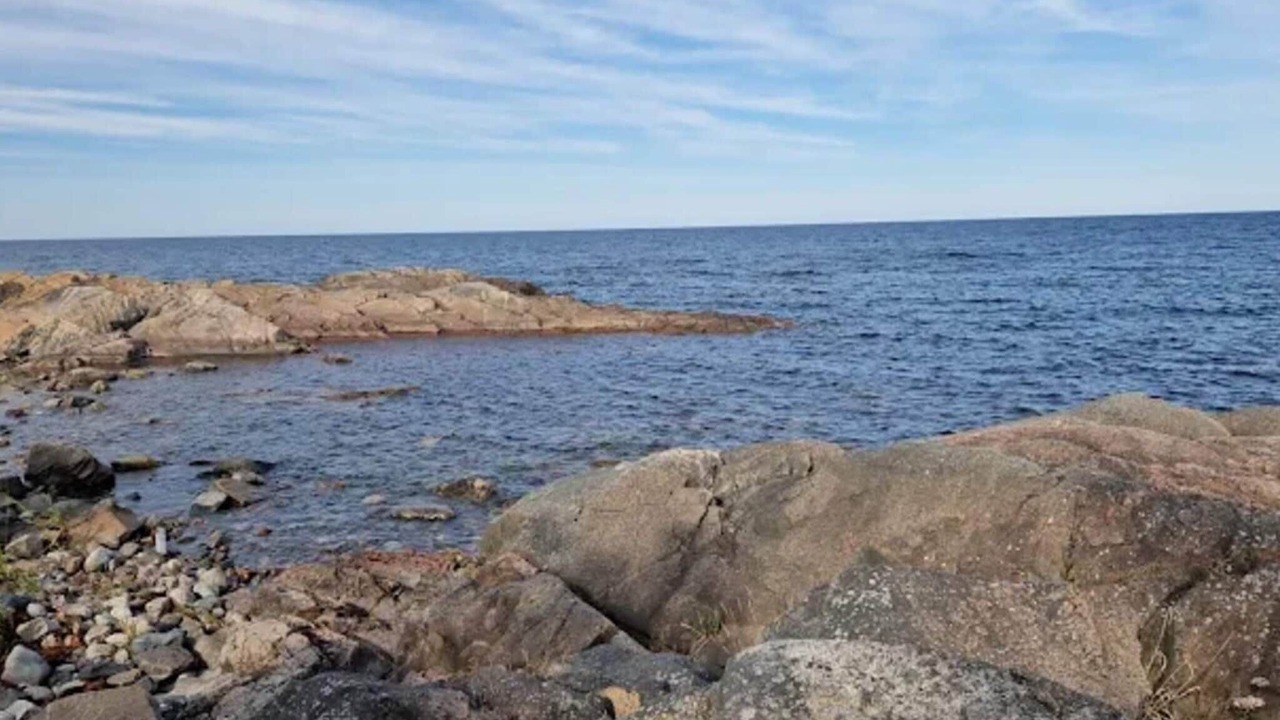 Photo of Others in Grisslehamn