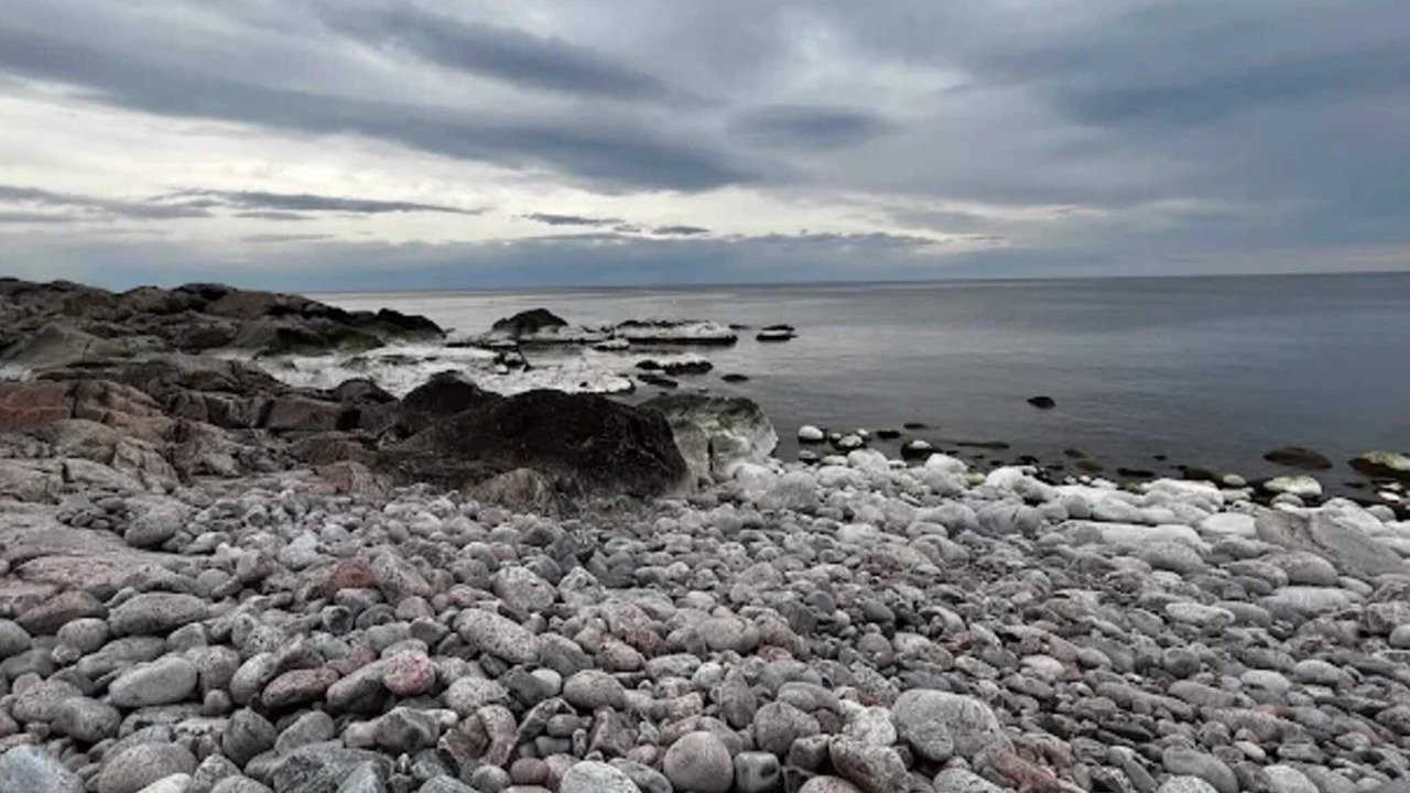 Photo of Others in Grisslehamn