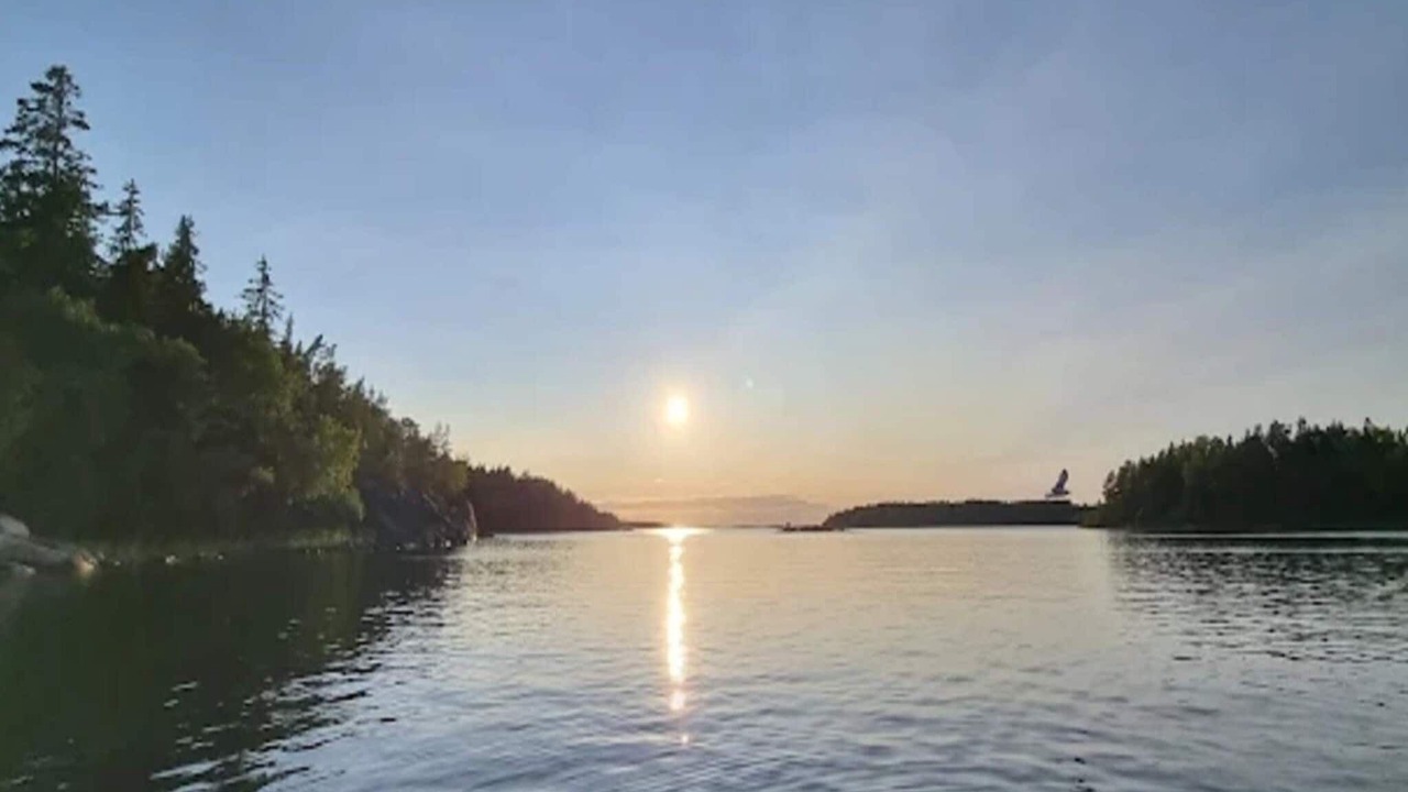 Photo of Others in Grisslehamn