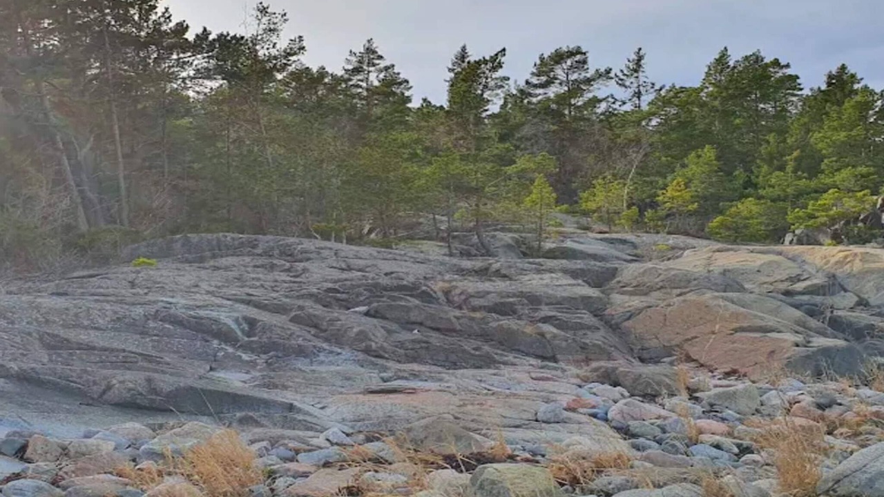 Photo of Others in Grisslehamn