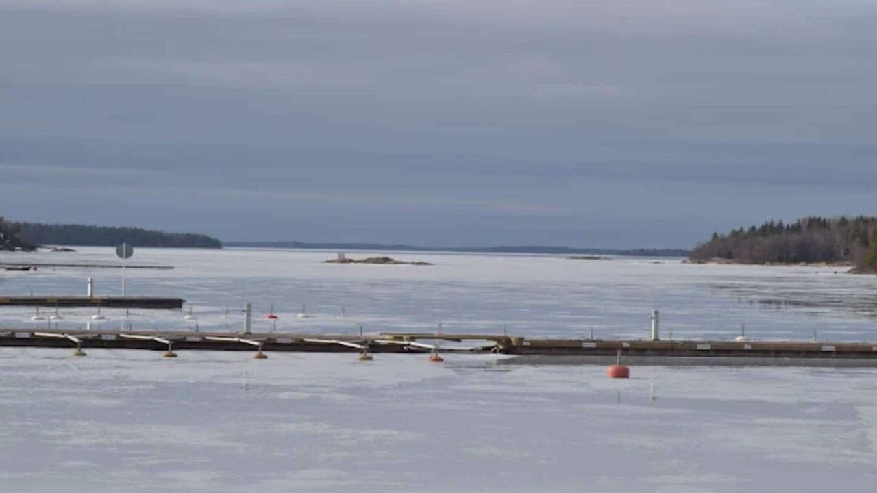 Photo of Others in Grisslehamn