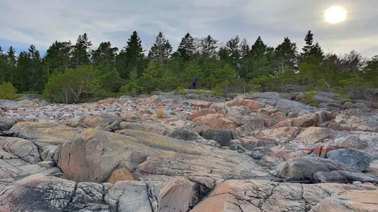 Photo of Others in Grisslehamn