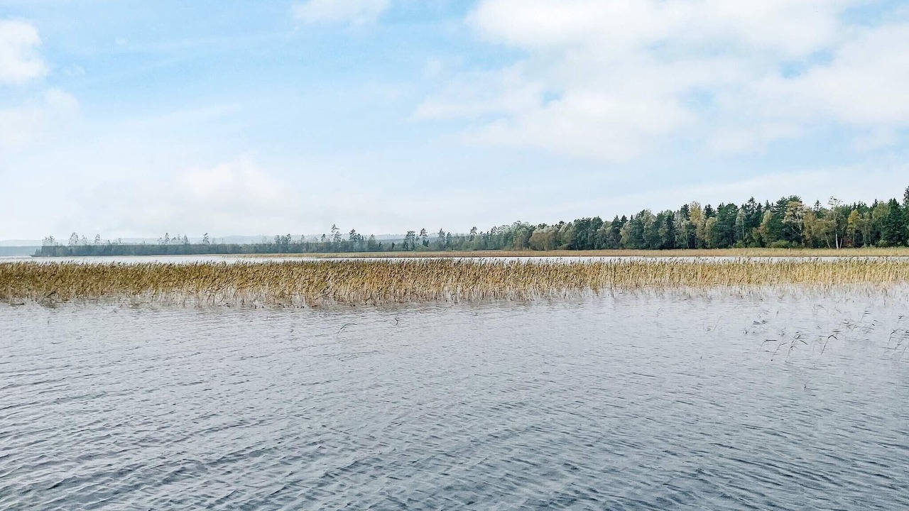 Photo of Outdoor in Grimstorp