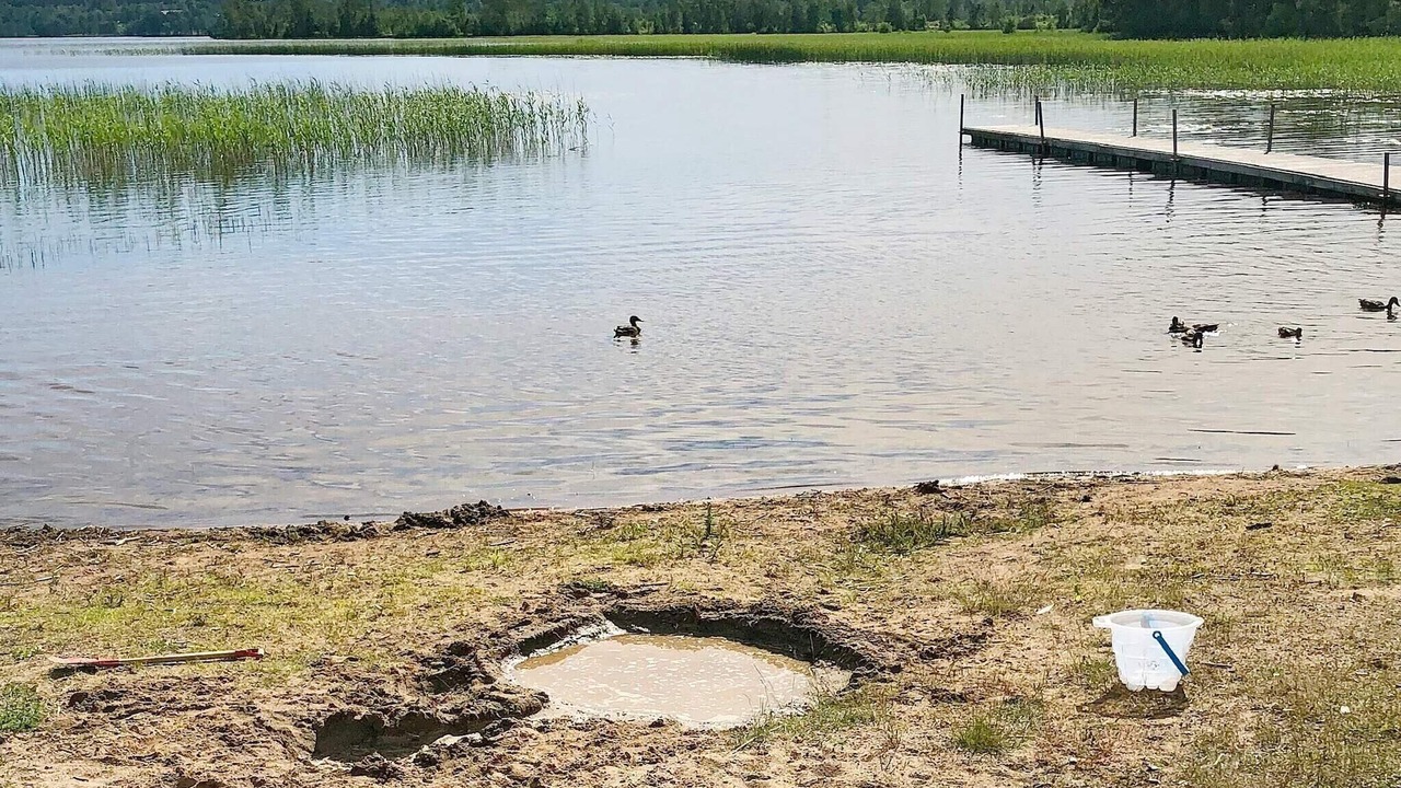 Photo of Others in Grimstorp