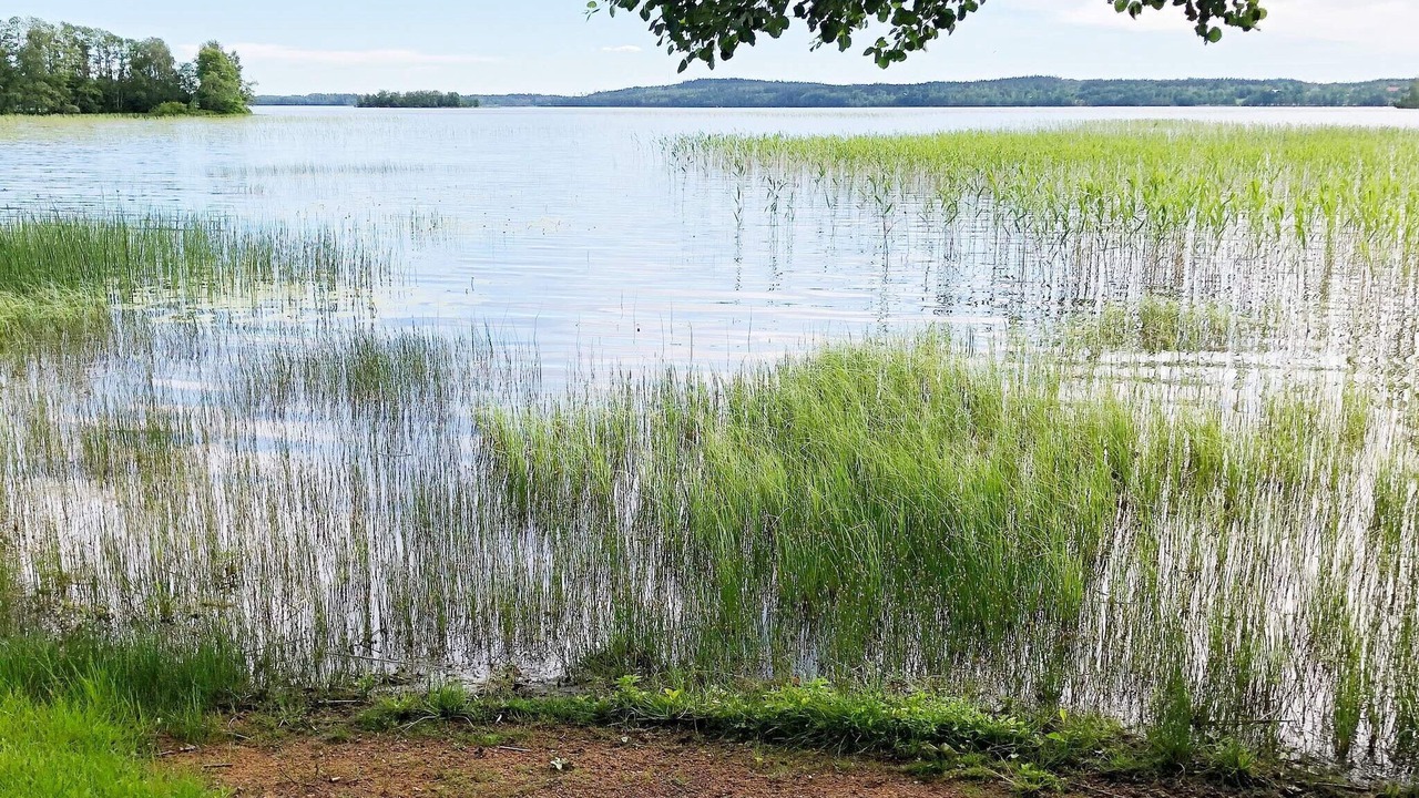 Photo of Others in Grimstorp