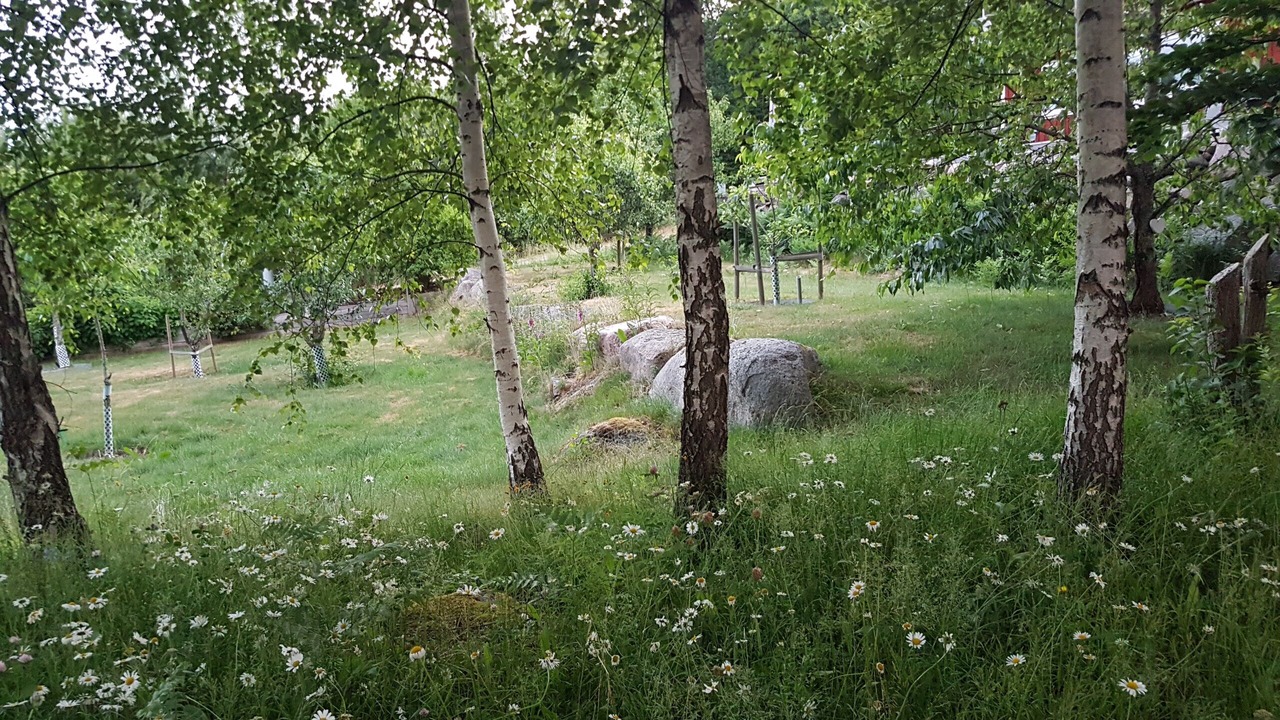 Photo of Others in Vissefjaerda