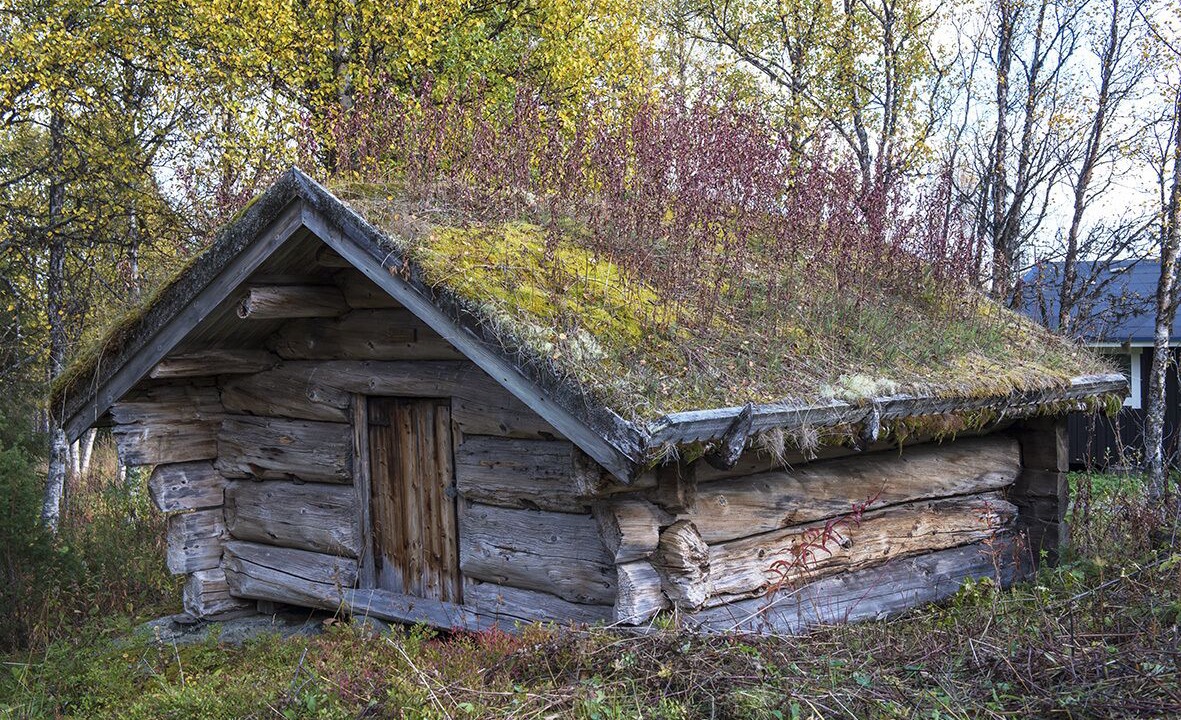 Photo of Outdoor in Undersaker