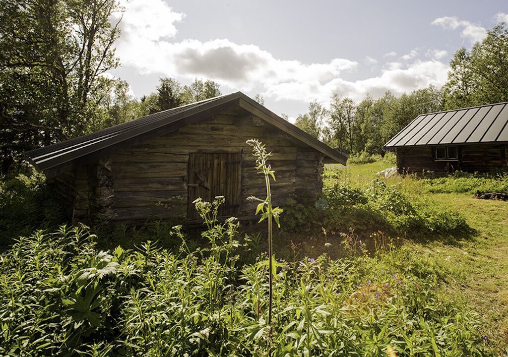 Photo of Outdoor in Undersaker