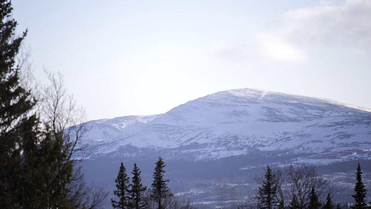 Photo of Outdoor in Undersaker