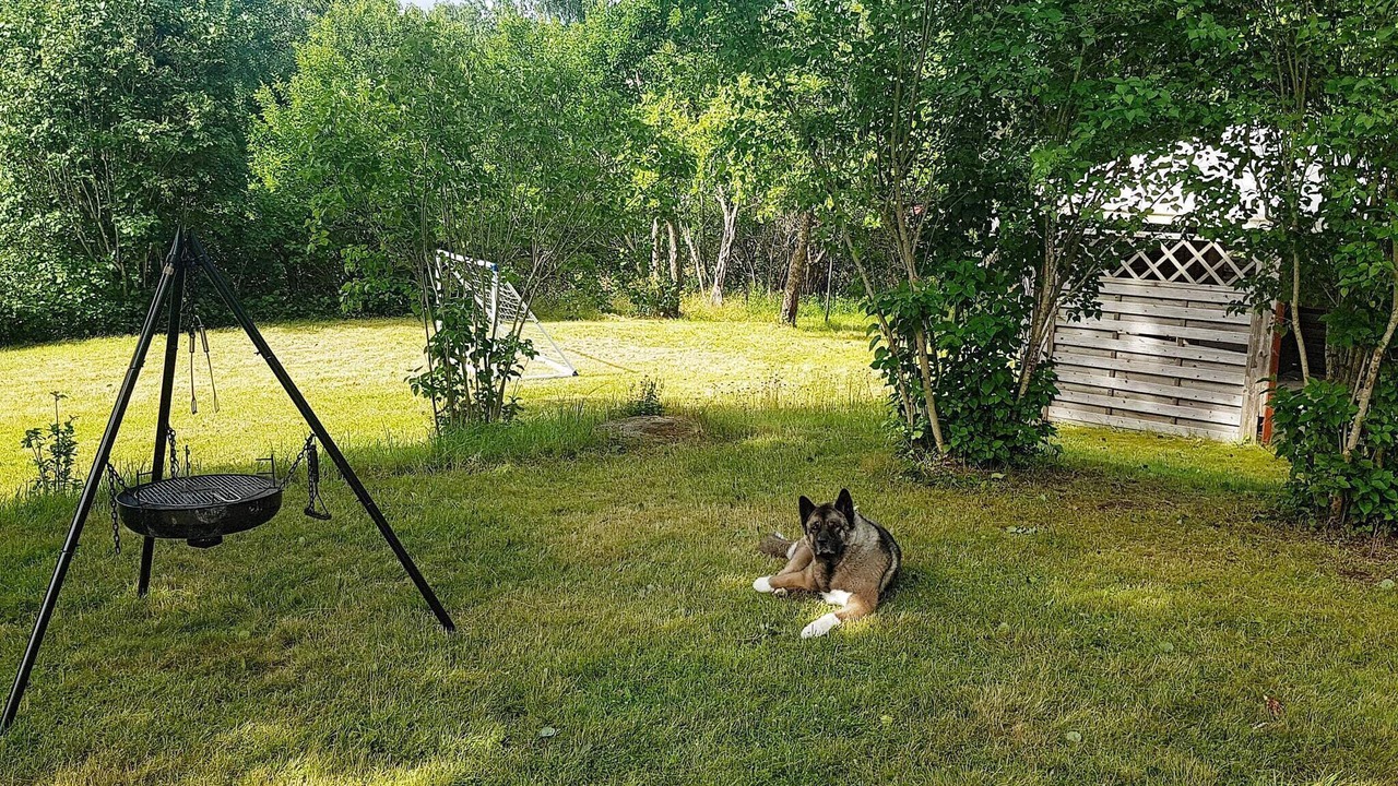 Photo of Outdoor in Bengtsfors Municipality