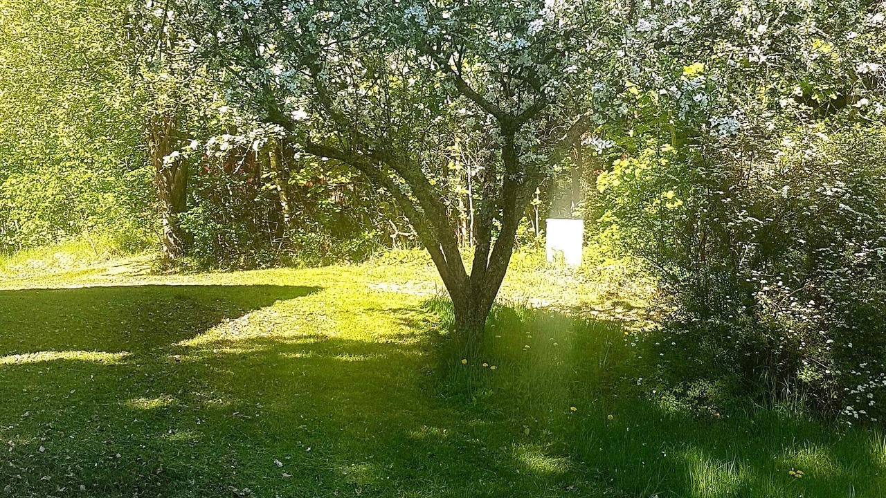 Photo of Outdoor in Bengtsfors Municipality