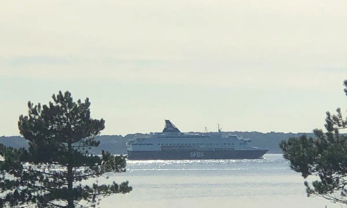 Photo of Others in Domsten