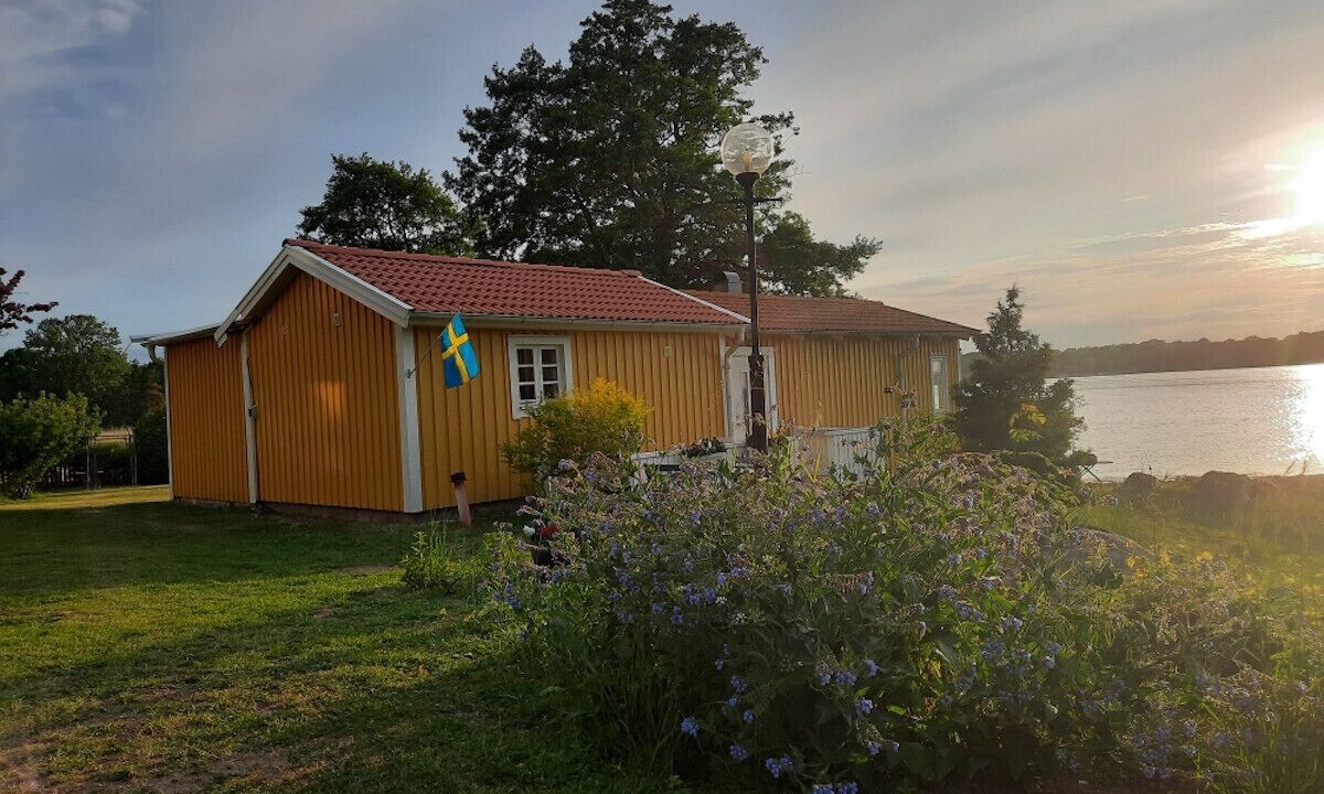 Photo of Others in Bredavik