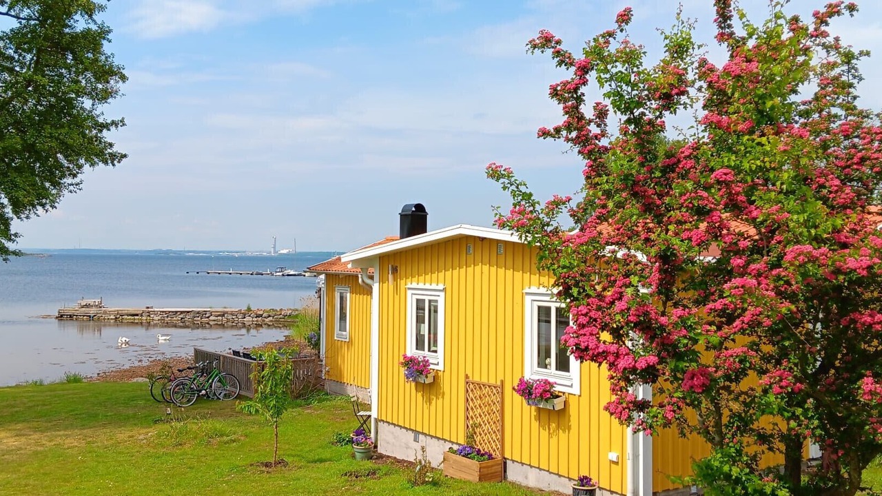 Photo of Others in Bredavik