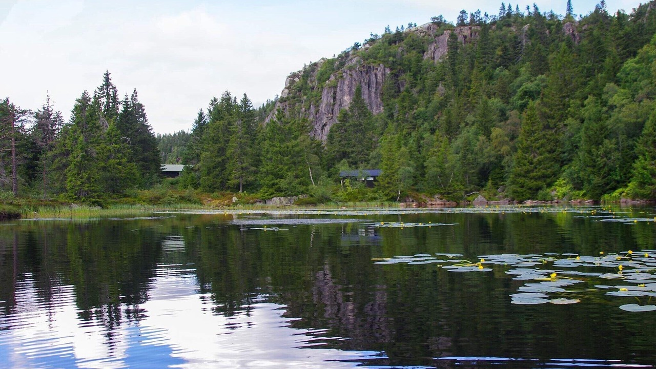 Photo of Others in Lardal Municipality