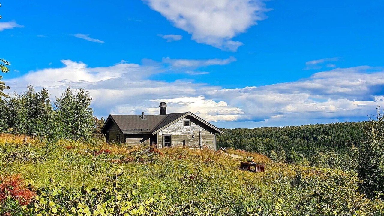 Photo of Outdoor in Lardal Municipality
